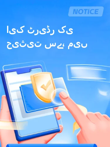 درمیانی ریٹنگ