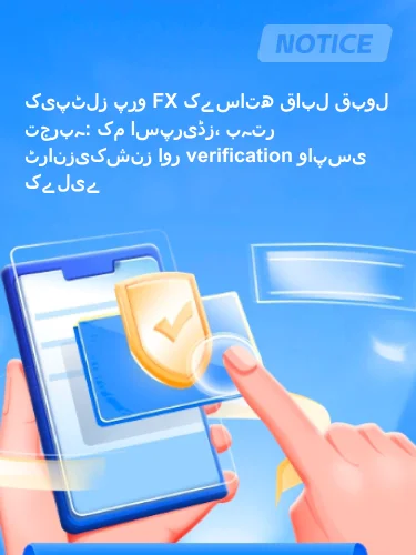 التعليقات