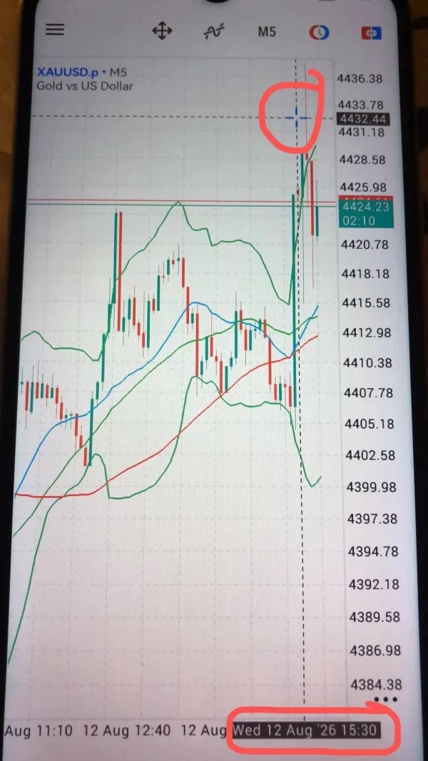 신고