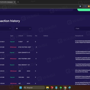 EXMARKETS exchange review, trading platform, crypto app - Wikibit
