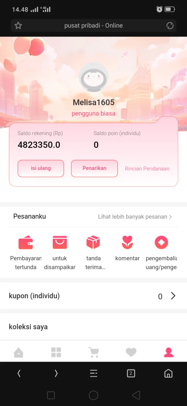 Paparan